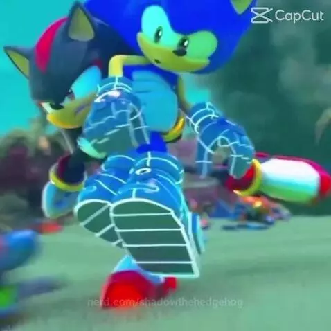 Sonic x Shadow by shadowthehedgehog