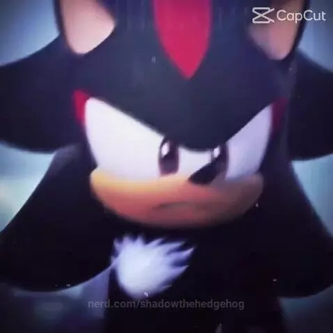 Shadow edit by shadowthehedgehog
