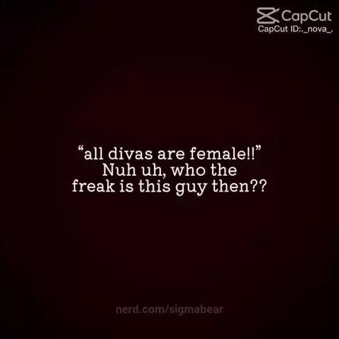 FLAMINGOOOOO by sigmabear