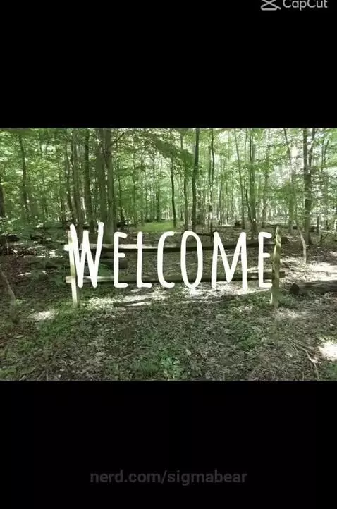 warriors by sigmabear