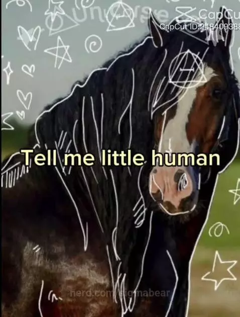 Pls don’t hate on me! by sigmabear