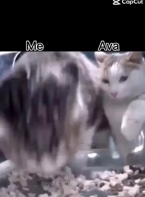 Ava in 1onlyaj by sigmabear