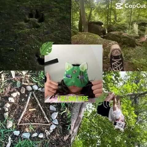 I’M LITERALLY BEGGING MY MUM TO LET ME GO 2 THE FOREST 😔😔😔😔😭... by sigmakid