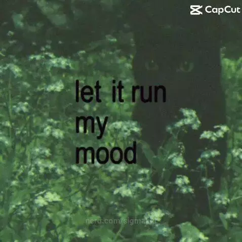 IIIIIII watched the MOOONNN by sigmakid