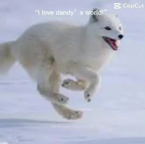 IT’S A CHILD AND A DOG- by sigmakid