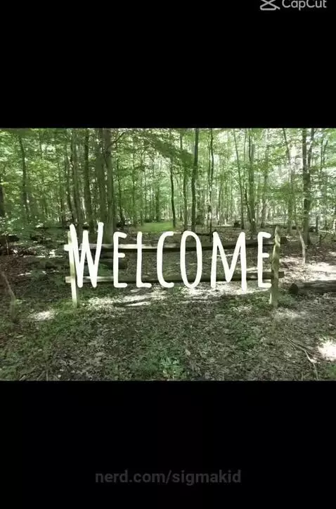 SOME PLS READ THEM AND SSK ME HOW U LIKE THEM 😭😭😭😭 by sigmakid