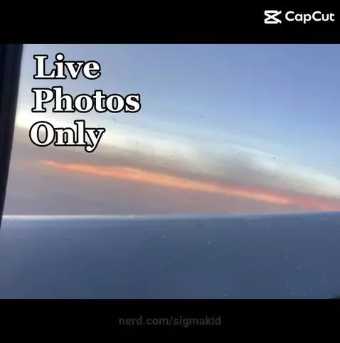 HABIBI!! MY HABIBI by sigmakid