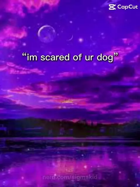 My dog?…. by sigmakid