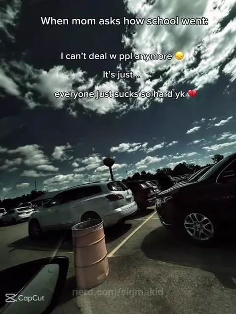 Like- SYBAU 🥀🪫💔 by sigmakid