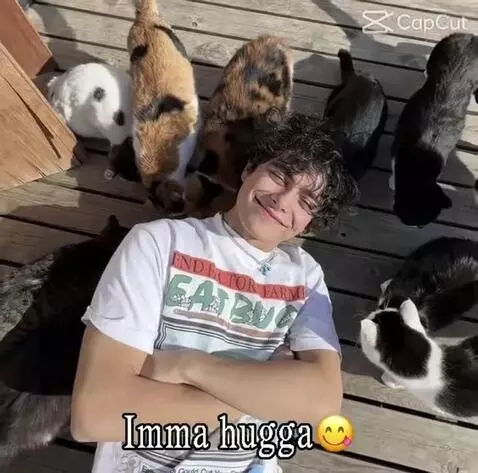 Sigma I’m back by sigmakid