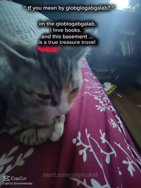 Bestie when can u let me out of the basement? by sigmakid