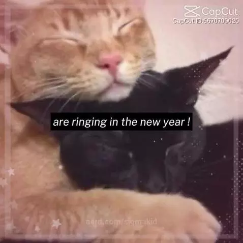 Y ing and yang <3 by sigmakid