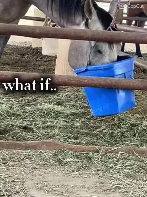 Yumsssss by sigmakid