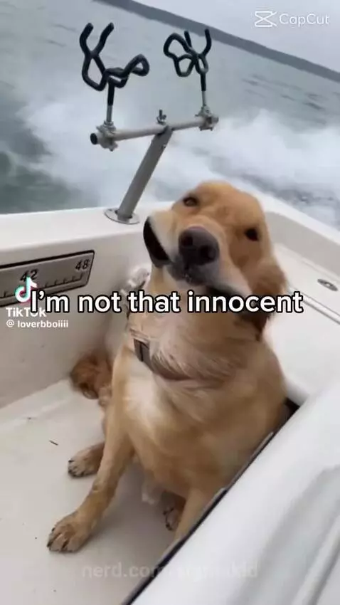 Sigma ligma by sigmakid