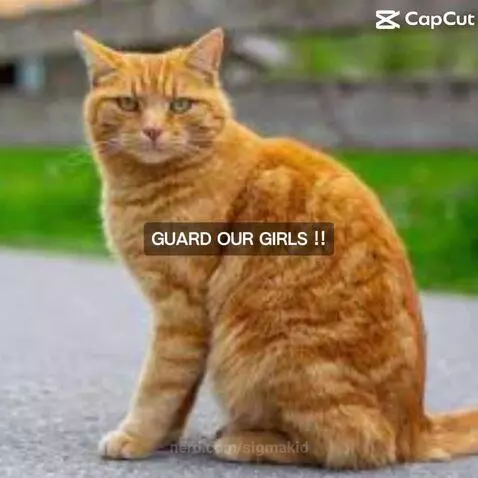 Therian post by sigmakid