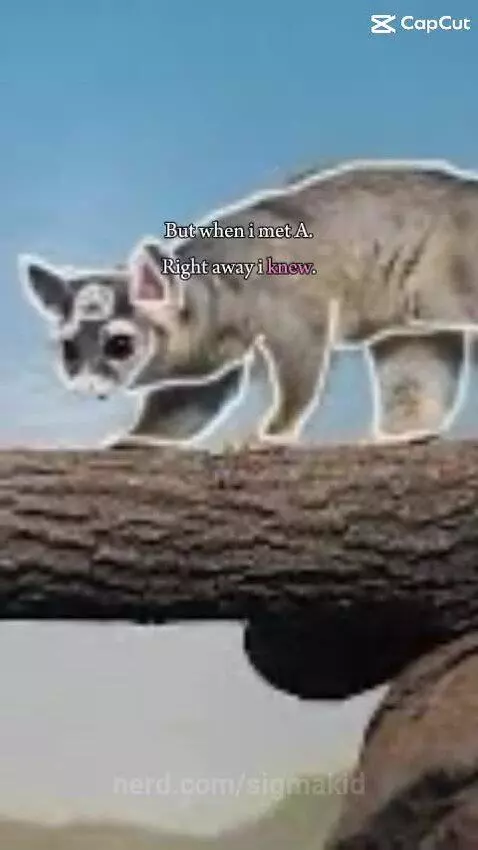 1nonlyaj </3 by sigmakid