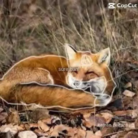 The story of K-pop demon hunters by sigmakid