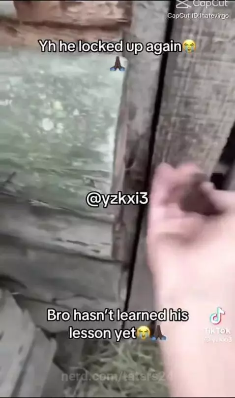 🫩🫩 by taters24