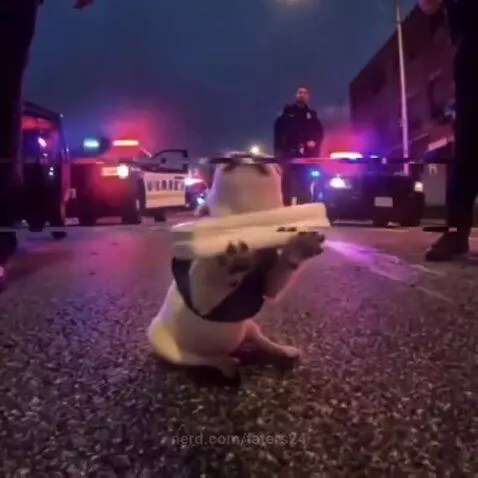 Wash ma belly by taters24