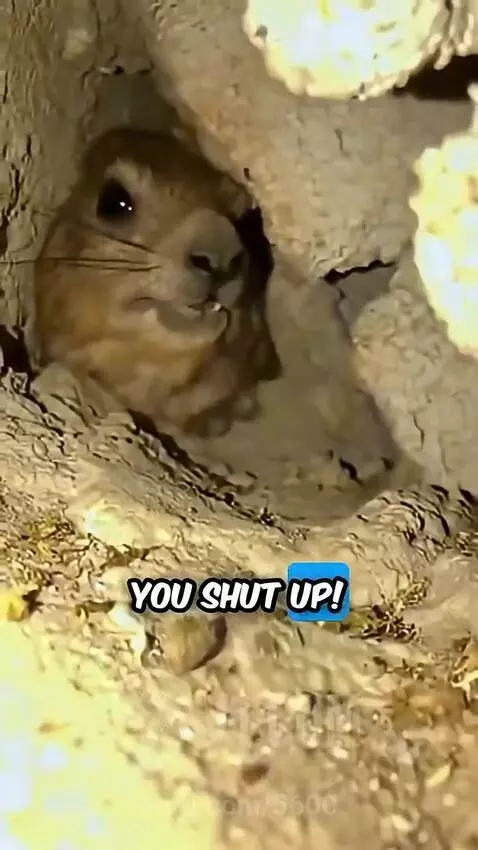 Why is he still screaming at me 😠 by 5600