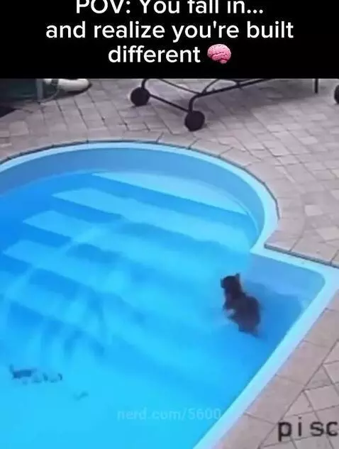 "i need to calm down. everything is fine. i'm an adult ." 😂 by 5600