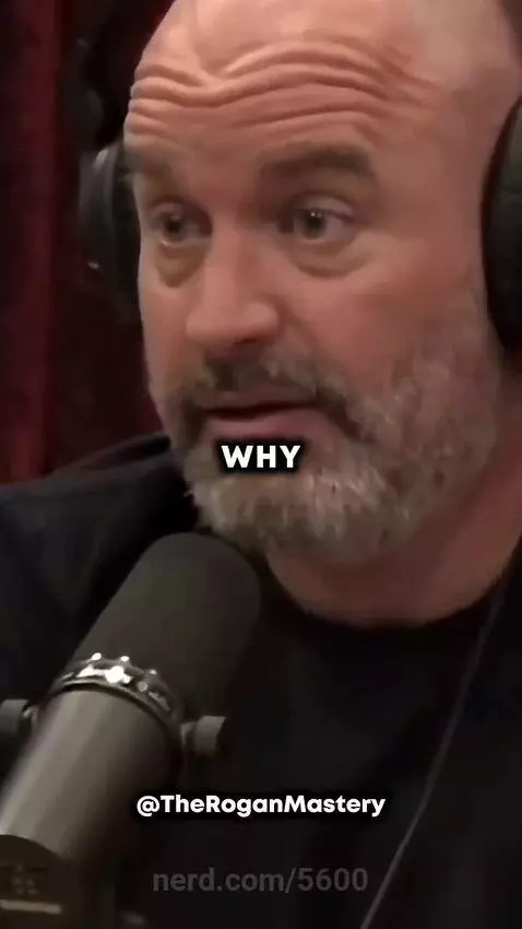 my, cola, fact by 5600