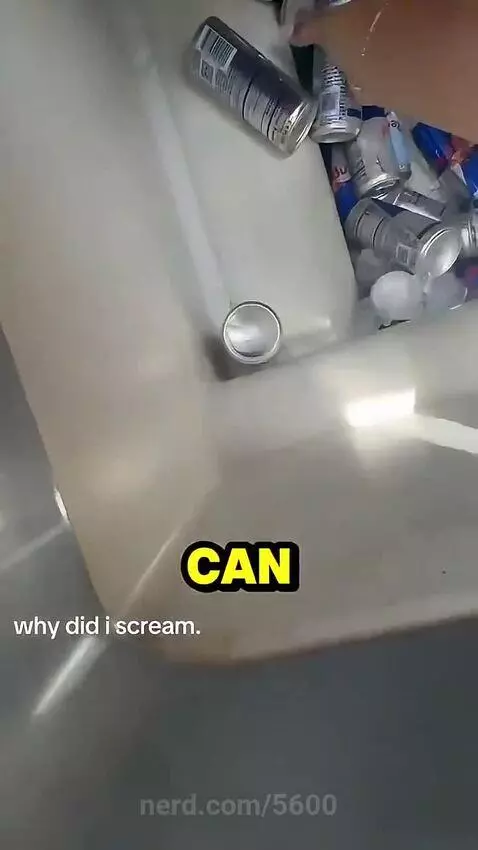 tiktok, meme, memes by 5600