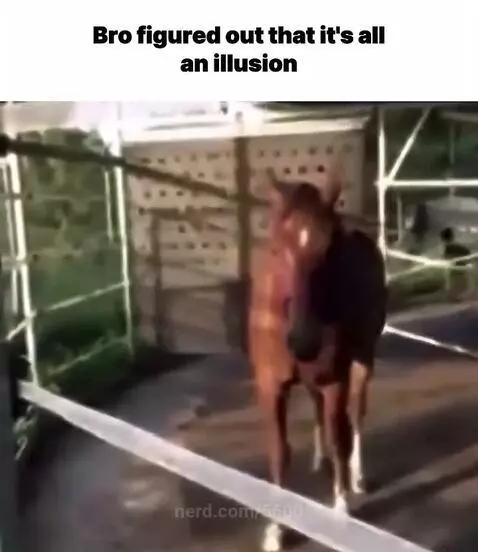 lol, my, meme by 5600