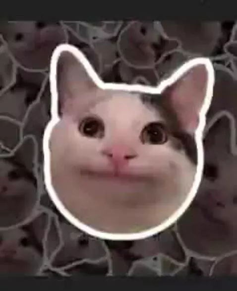 FOLLOW AND LIKE FOR MORE CAT!!!!! by catkid