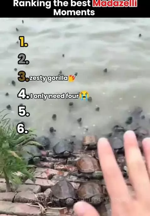 Ranking best Medazelli Moments by arafiscoolhypervelocity