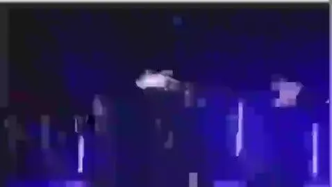 The lion by 10007814