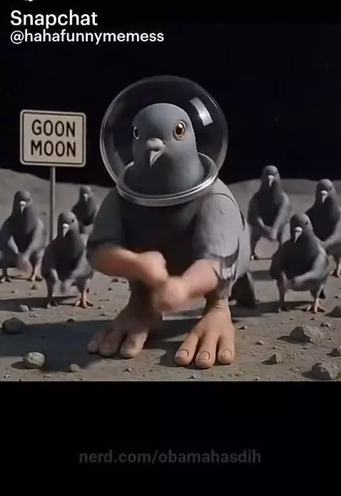 67 twin by obamahasdih