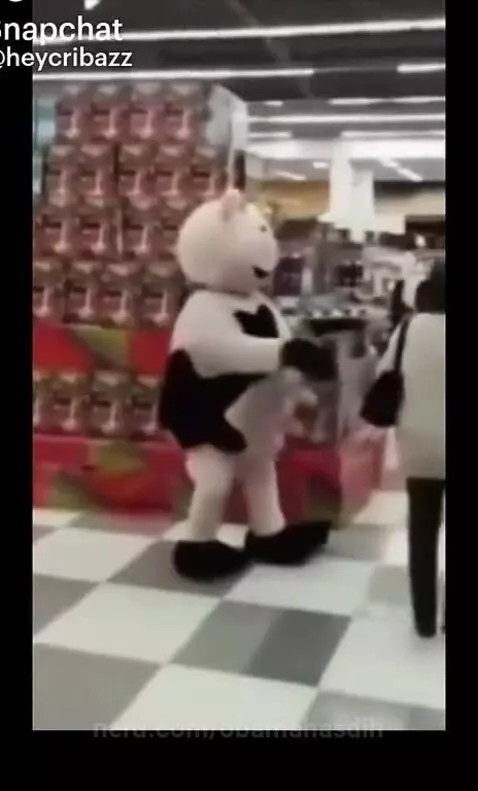 fight, foryoupage, boxfights by obamahasdih