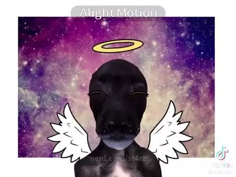 Why ts so magical 🦄 by st4rz