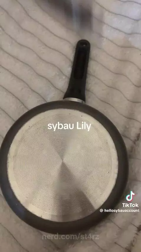 Shoutout to my Lilys out there  ALSO TYSM FOR 800!! ILY 🤏😝 by st4rz