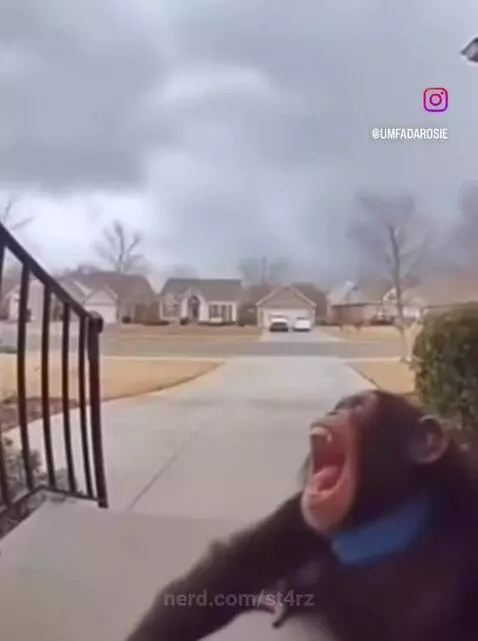 I can’t w ai anymore 😭😭😭 by st4rz