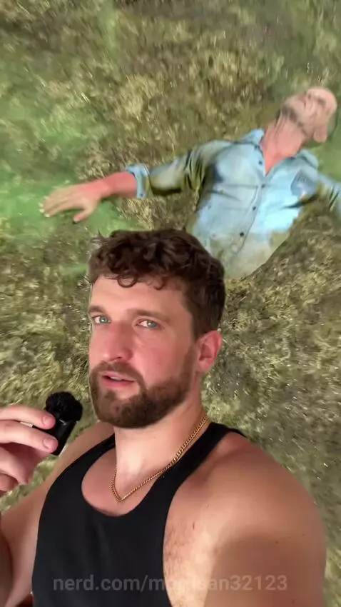 Cows by martisan32123