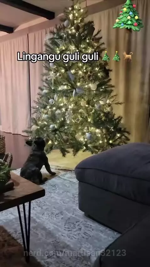 holiday vibes by martisan32123