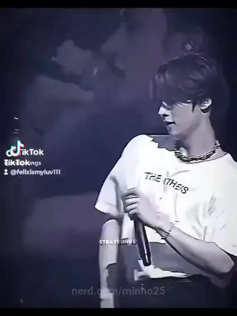 lee, straykids, skz by minho25