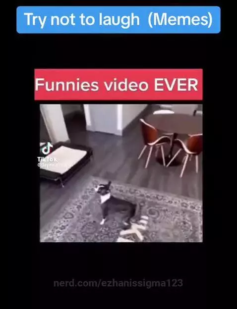 meme by ezhanissigma123