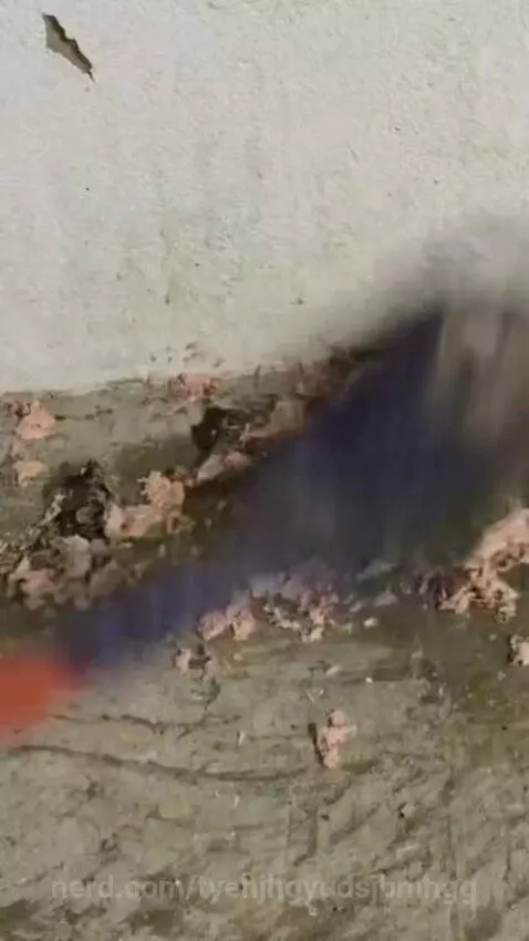 How to skin a fish, the REAL way by tyehjhgyudsjbmhgg