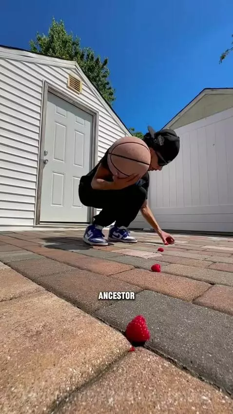 REF DO SOMETHING by tyehjhgyudsjbmhgg