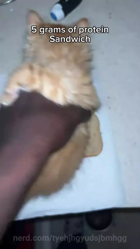 Video by tyehjhgyudsjbmhgg