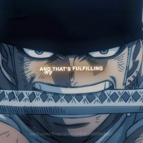 zoro vs king by theprabsaranbakshioftictok1