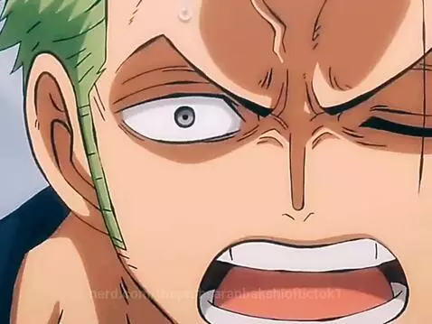 best moments of zoro by theprabsaranbakshioftictok1