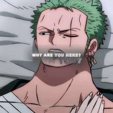 zoro's rizz is the highest by theprabsaranbakshioftictok1