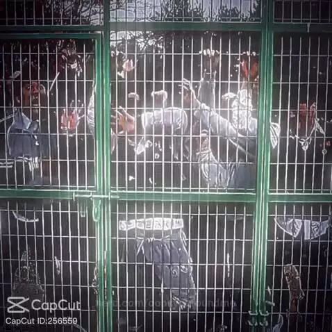 best movie or show idk by oopsyoufoundme