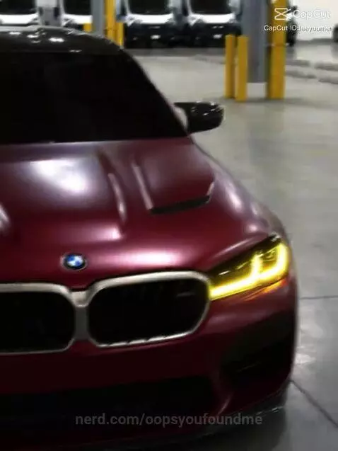 Video by oopsyoufoundme