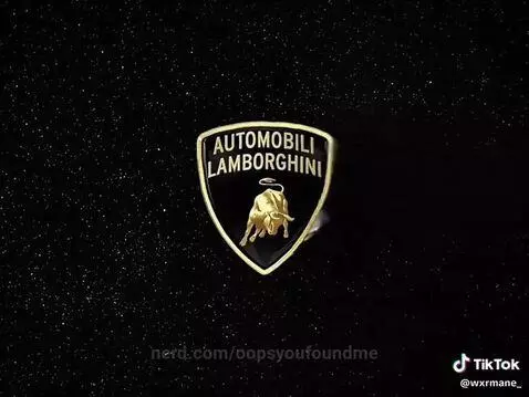 Video by oopsyoufoundme