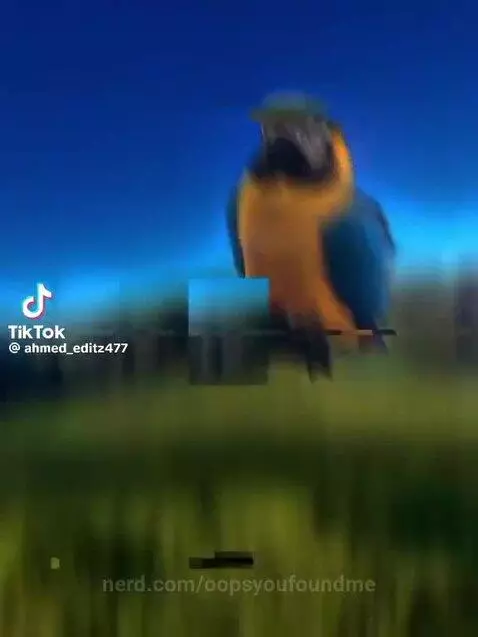 Video by oopsyoufoundme